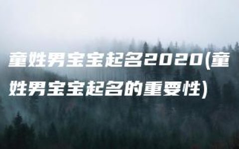 童姓男宝宝起名2020(童姓男宝宝起名的重要性)