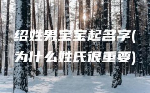 绍姓男宝宝起名字(为什么姓氏很重要)