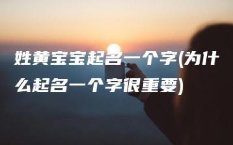 姓黄宝宝起名一个字(为什么起名一个字很重要)