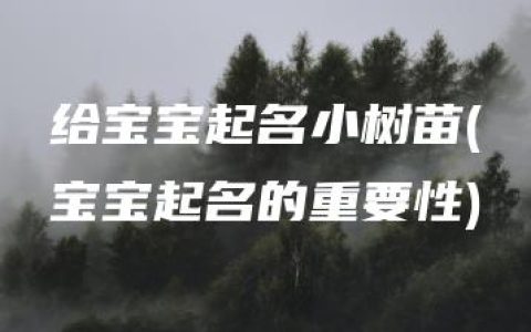 给宝宝起名小树苗(宝宝起名的重要性)