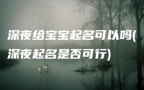 深夜给宝宝起名可以吗(深夜起名是否可行)