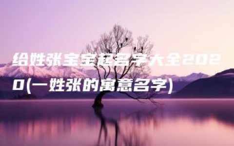 给姓张宝宝起名字大全2020(一姓张的寓意名字)