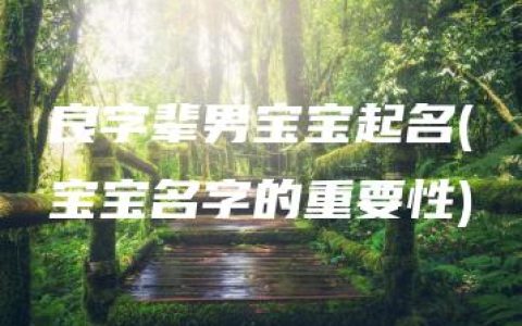 良字辈男宝宝起名(宝宝名字的重要性)