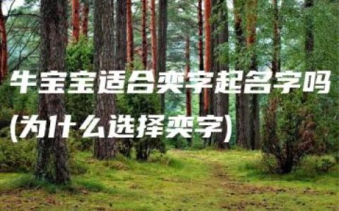 牛宝宝适合奕字起名字吗(为什么选择奕字)