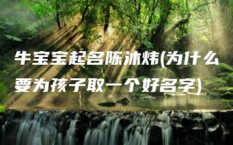 牛宝宝起名陈沐炜(为什么要为孩子取一个好名字)