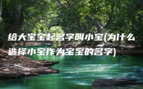 给大宝宝起名字叫小宝(为什么选择小宝作为宝宝的名字)