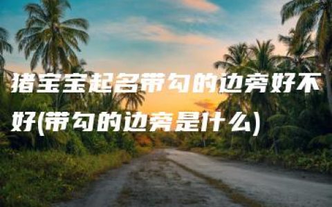 猪宝宝起名带勾的边旁好不好(带勾的边旁是什么)