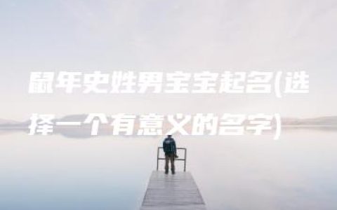 鼠年史姓男宝宝起名(选择一个有意义的名字)