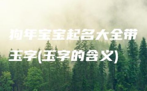 狗年宝宝起名大全带玉字(玉字的含义)