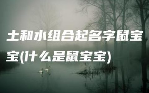 土和水组合起名字鼠宝宝(什么是鼠宝宝)