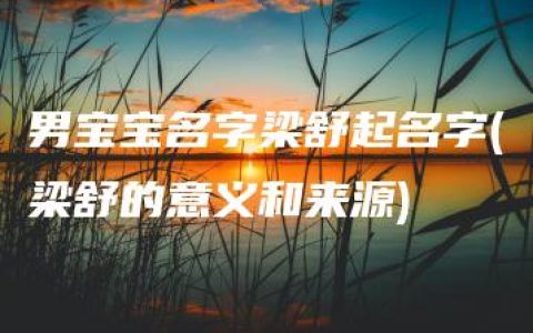 男宝宝名字梁舒起名字(梁舒的意义和来源)