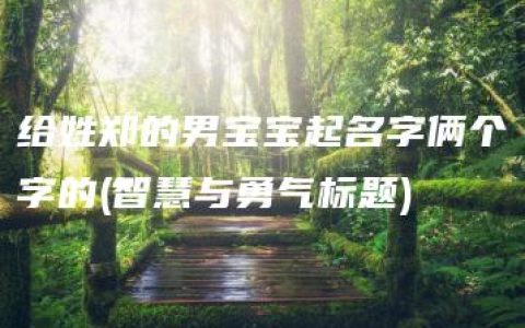 给姓郑的男宝宝起名字俩个字的(智慧与勇气标题)