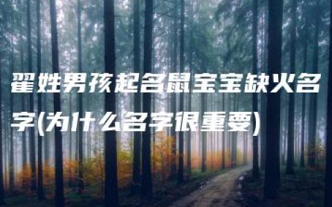 翟姓男孩起名鼠宝宝缺火名字(为什么名字很重要)