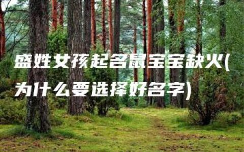 盛姓女孩起名鼠宝宝缺火(为什么要选择好名字)