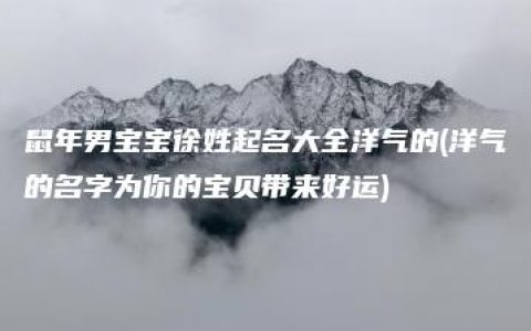 鼠年男宝宝徐姓起名大全洋气的(洋气的名字为你的宝贝带来好运)