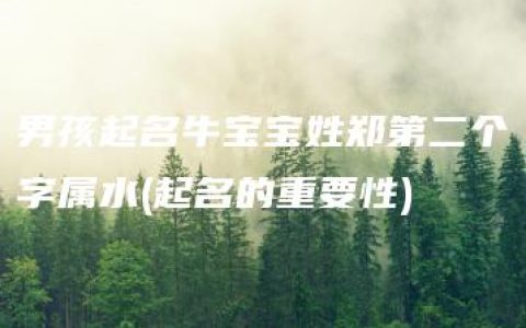 男孩起名牛宝宝姓郑第二个字属水(起名的重要性)