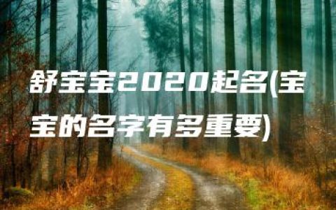 舒宝宝2020起名(宝宝的名字有多重要)