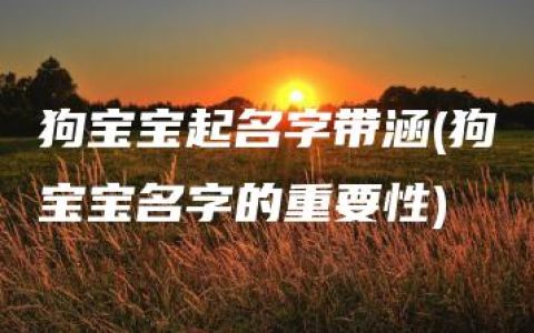 狗宝宝起名字带涵(狗宝宝名字的重要性)