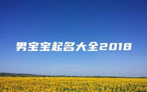 男宝宝起名大全2018