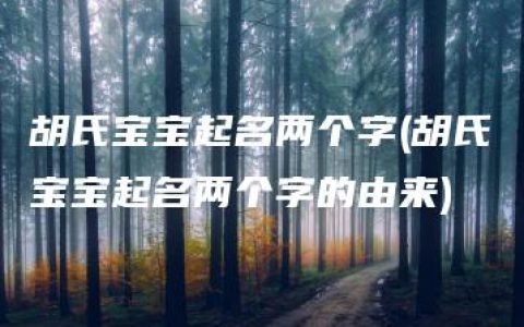 胡氏宝宝起名两个字(胡氏宝宝起名两个字的由来)