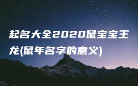 起名大全2020鼠宝宝王龙(鼠年名字的意义)