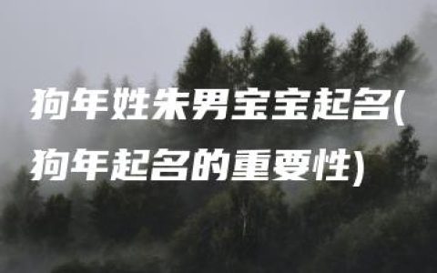 狗年姓朱男宝宝起名(狗年起名的重要性)