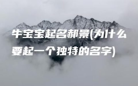 牛宝宝起名郝景(为什么要起一个独特的名字)