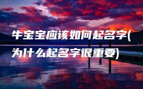 牛宝宝应该如何起名字(为什么起名字很重要)