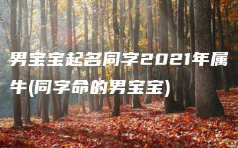 男宝宝起名同字2021年属牛(同字命的男宝宝)