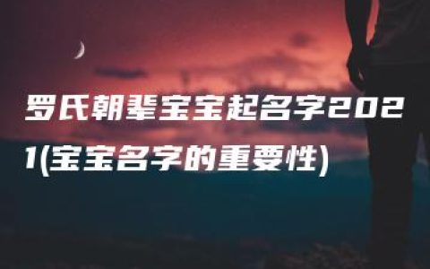 罗氏朝辈宝宝起名字2021(宝宝名字的重要性)