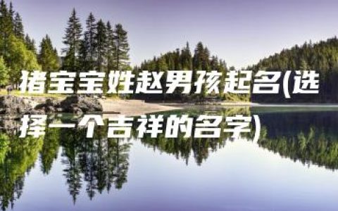 猪宝宝姓赵男孩起名(选择一个吉祥的名字)