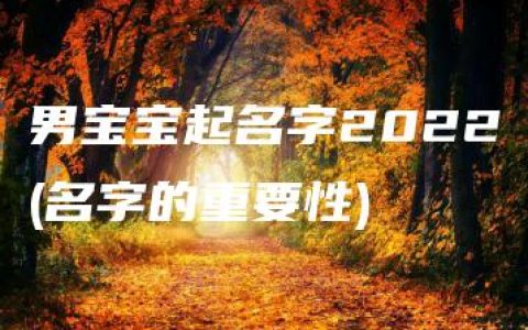 男宝宝起名字2022(名字的重要性)