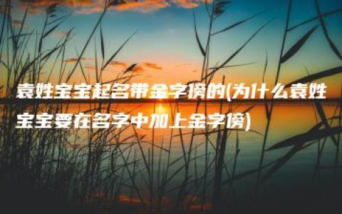 袁姓宝宝起名带金字傍的(为什么袁姓宝宝要在名字中加上金字傍)