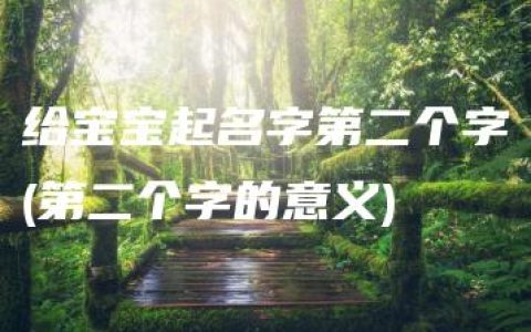 给宝宝起名字第二个字(第二个字的意义)