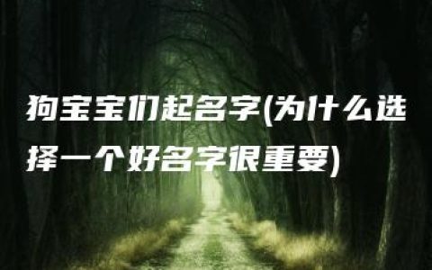 狗宝宝们起名字(为什么选择一个好名字很重要)