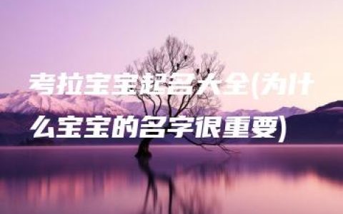 考拉宝宝起名大全(为什么宝宝的名字很重要)