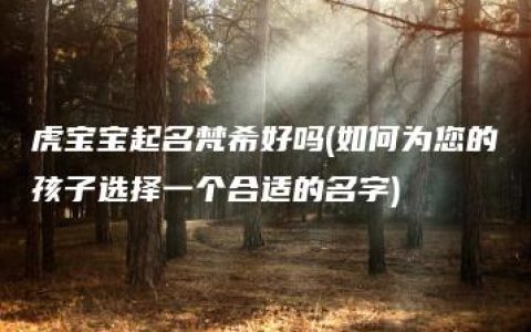 虎宝宝起名梵希好吗(如何为您的孩子选择一个合适的名字)