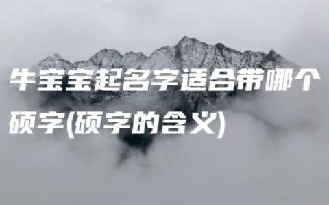 牛宝宝起名字适合带哪个硕字(硕字的含义)