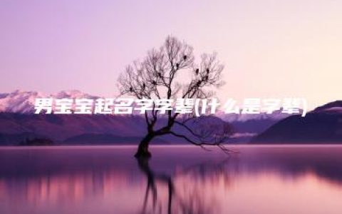 男宝宝起名字字辈(什么是字辈)