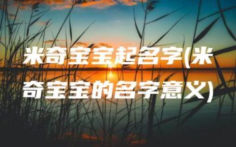 米奇宝宝起名字(米奇宝宝的名字意义)