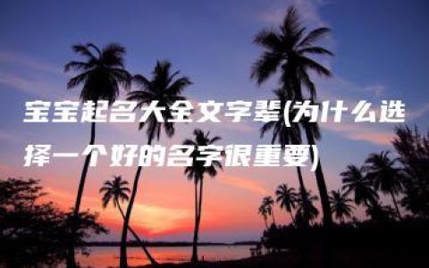 宝宝起名大全文字辈(为什么选择一个好的名字很重要)