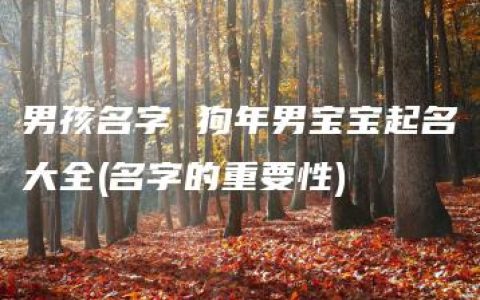 男孩名字 狗年男宝宝起名大全(名字的重要性)