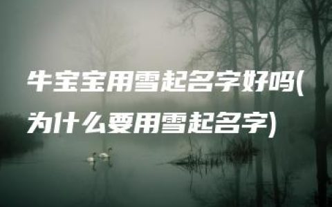 牛宝宝用雪起名字好吗(为什么要用雪起名字)