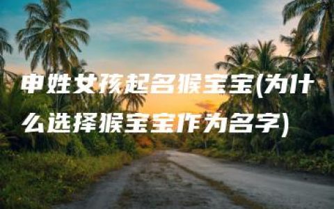 申姓女孩起名猴宝宝(为什么选择猴宝宝作为名字)