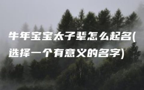 牛年宝宝太子辈怎么起名(选择一个有意义的名字)