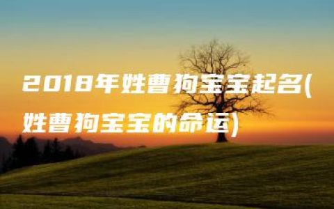 2018年姓曹狗宝宝起名(姓曹狗宝宝的命运)