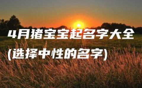 4月猪宝宝起名字大全(选择中性的名字)