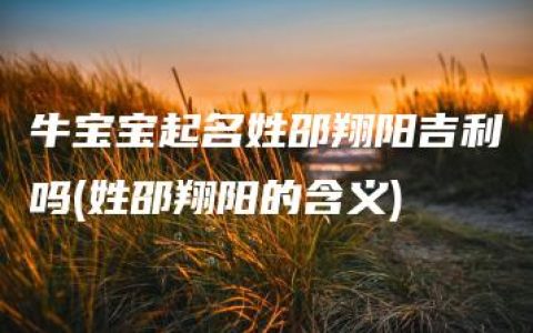 牛宝宝起名姓邵翔阳吉利吗(姓邵翔阳的含义)