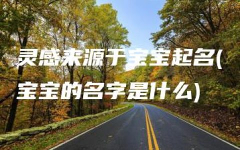 灵感来源于宝宝起名(宝宝的名字是什么)