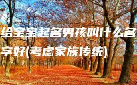 给宝宝起名男孩叫什么名字好(考虑家族传统)